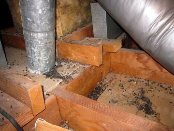 Crawl Space Restoration in Larchmont, New York