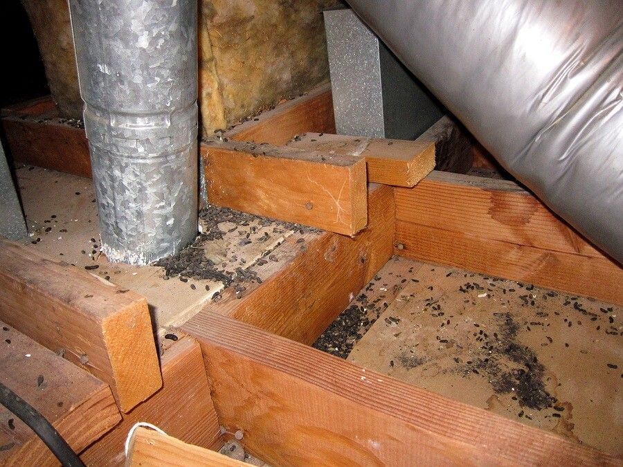 Crawl Space Restoration by Fresh Maintenance LLC