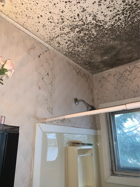 Mold Remediation In Yonkers, NY (1)